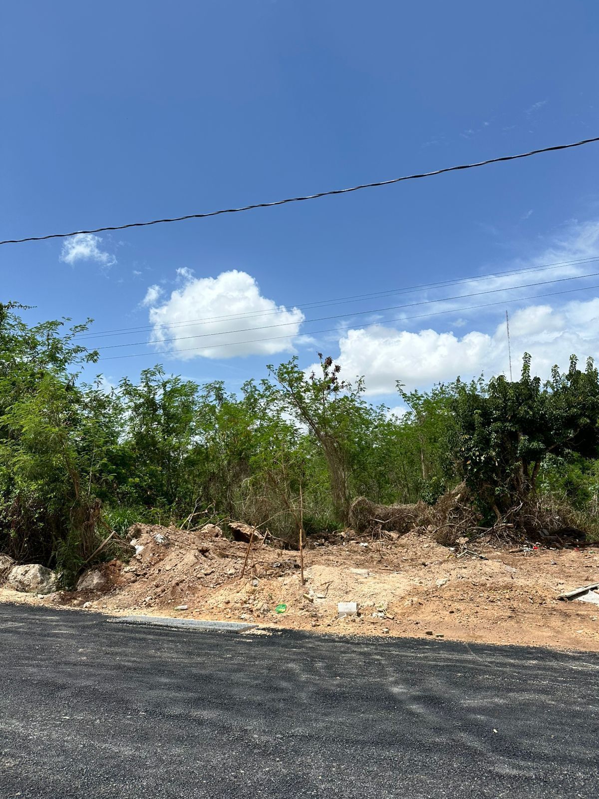 Lote em Conkal, Conkal, foto 16 de 16