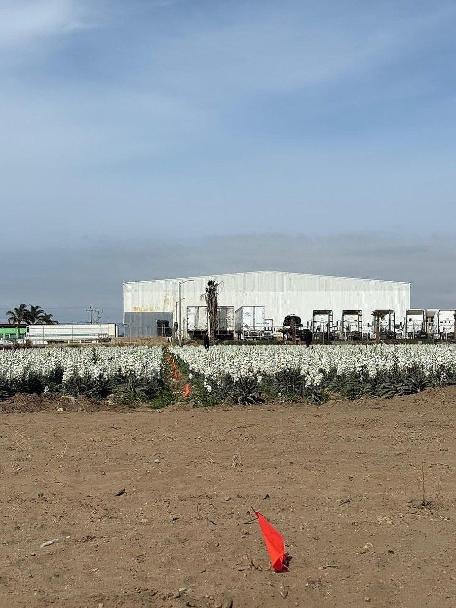 Lot in Maneadero, Ensenada, photo 3 of 8