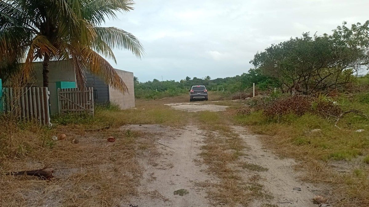 Terreno en Chicxulub Puerto, Progreso, foto 5 de 6