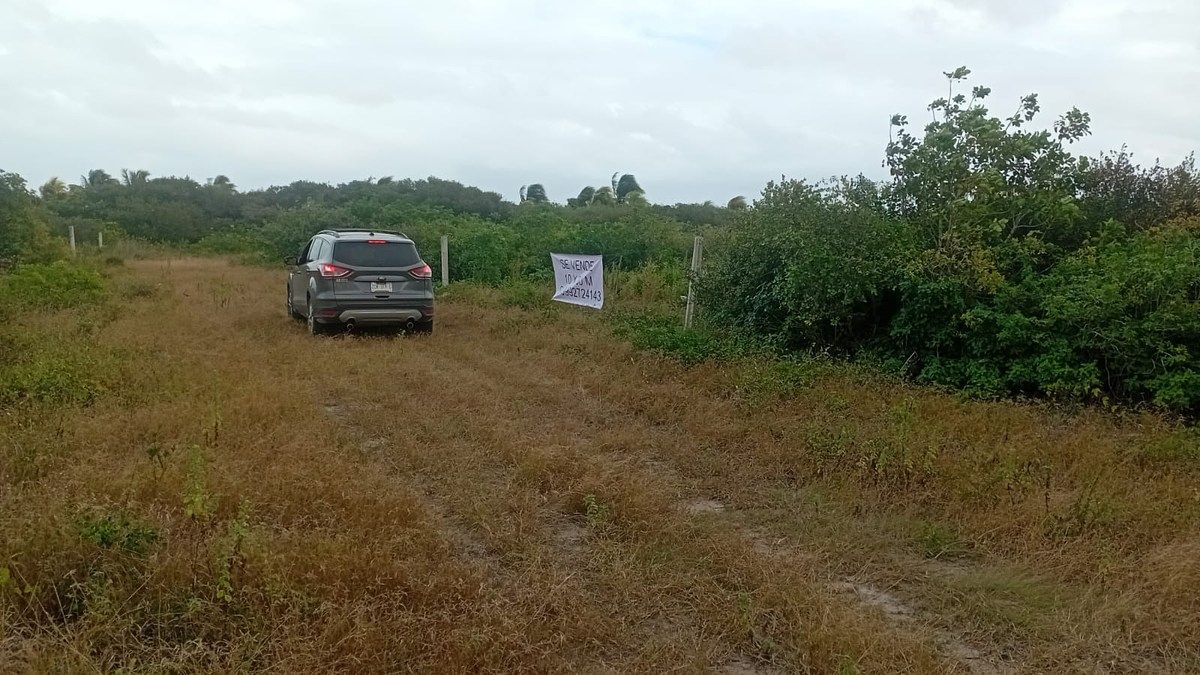 Terreno en Chicxulub Puerto, Progreso, foto 4 de 6