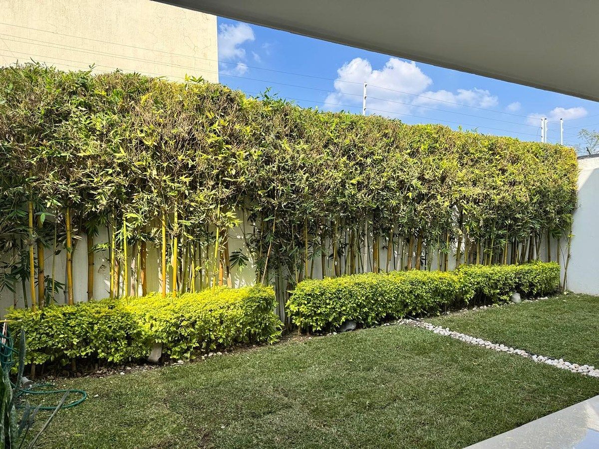 House in Villa Verona, Zapopan, photo 16 of 31