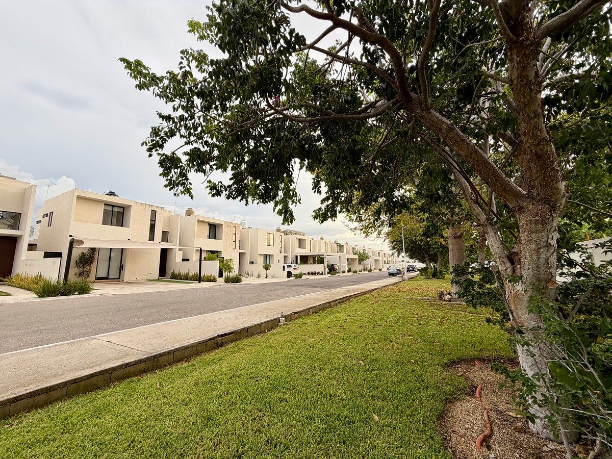 Parque frontal, photo 1 of 28