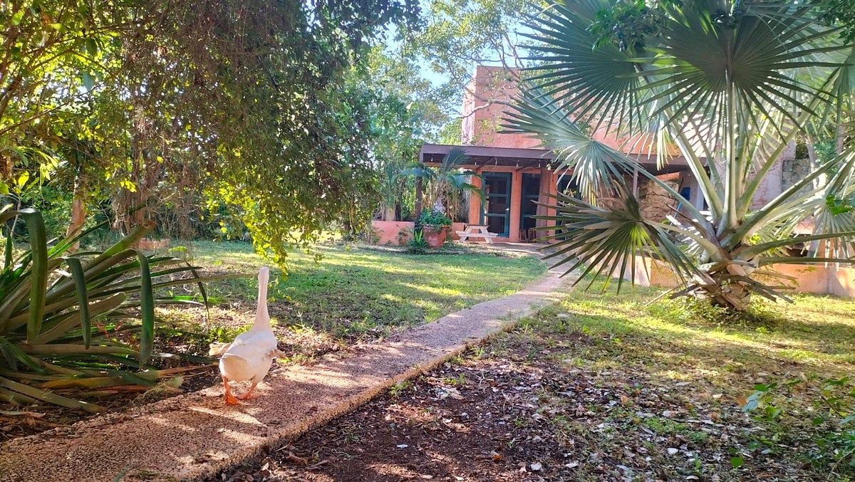 Casa em Temozón Norte, Mérida, foto 19 de 22