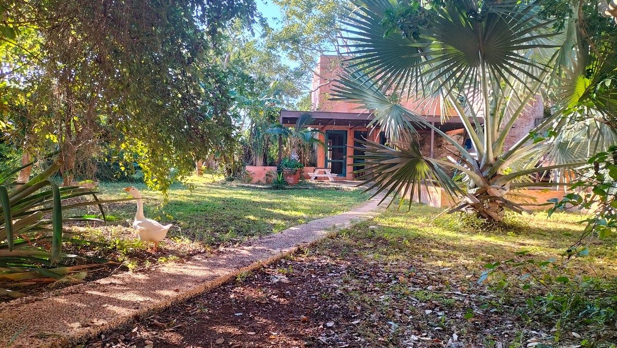 Casa em Temozón Norte, Mérida, foto 21 de 22
