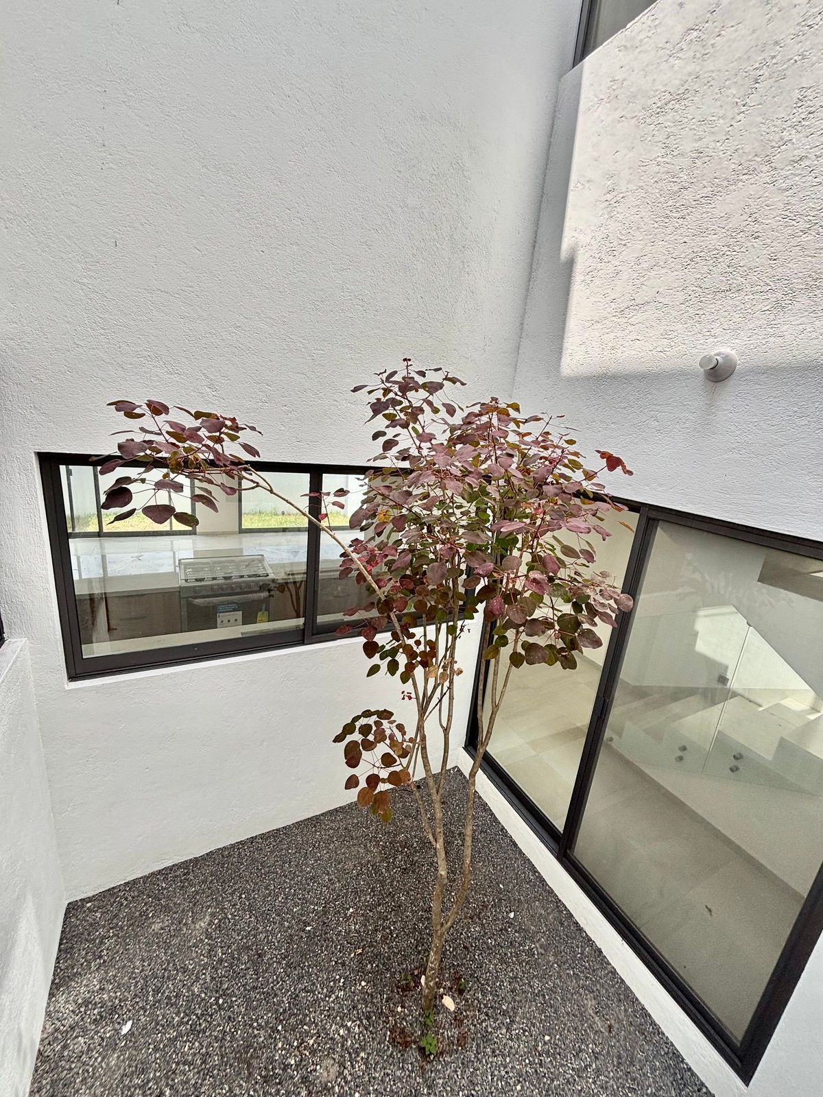 Casa en Ciudad Maderas Residencial Querétaro, El Marqués, foto 11 de 39