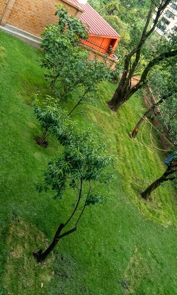 Casa em Bosque de las Lomas, Miguel Hidalgo, foto 16 de 19