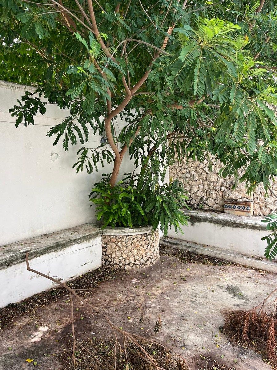 Casa en Miguel Alemán, Mérida, foto 39 de 39