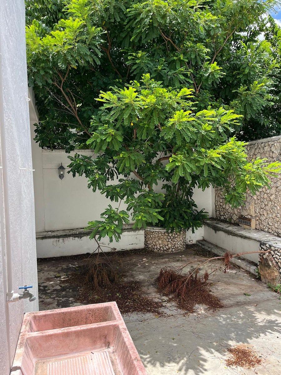 Casa en Miguel Alemán, Mérida, foto 38 de 39
