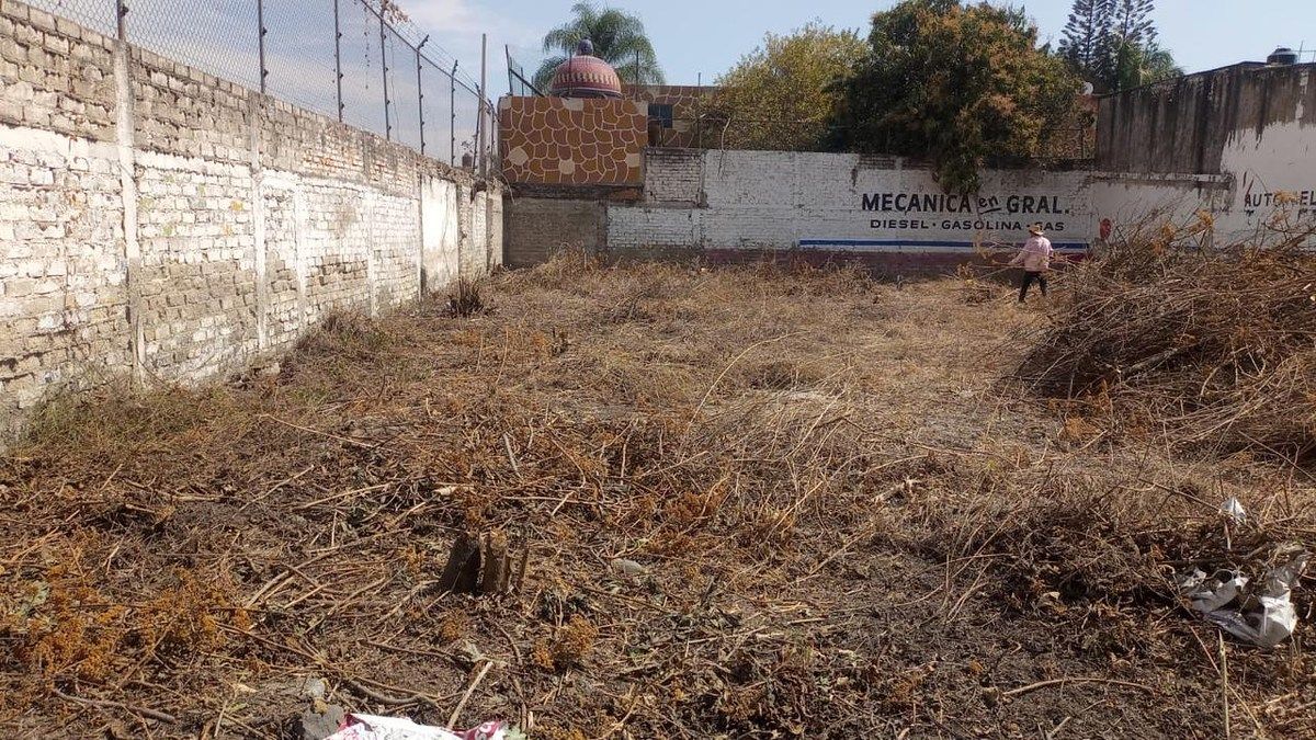 Lote em Las Pintas, El Salto, foto 4 de 11