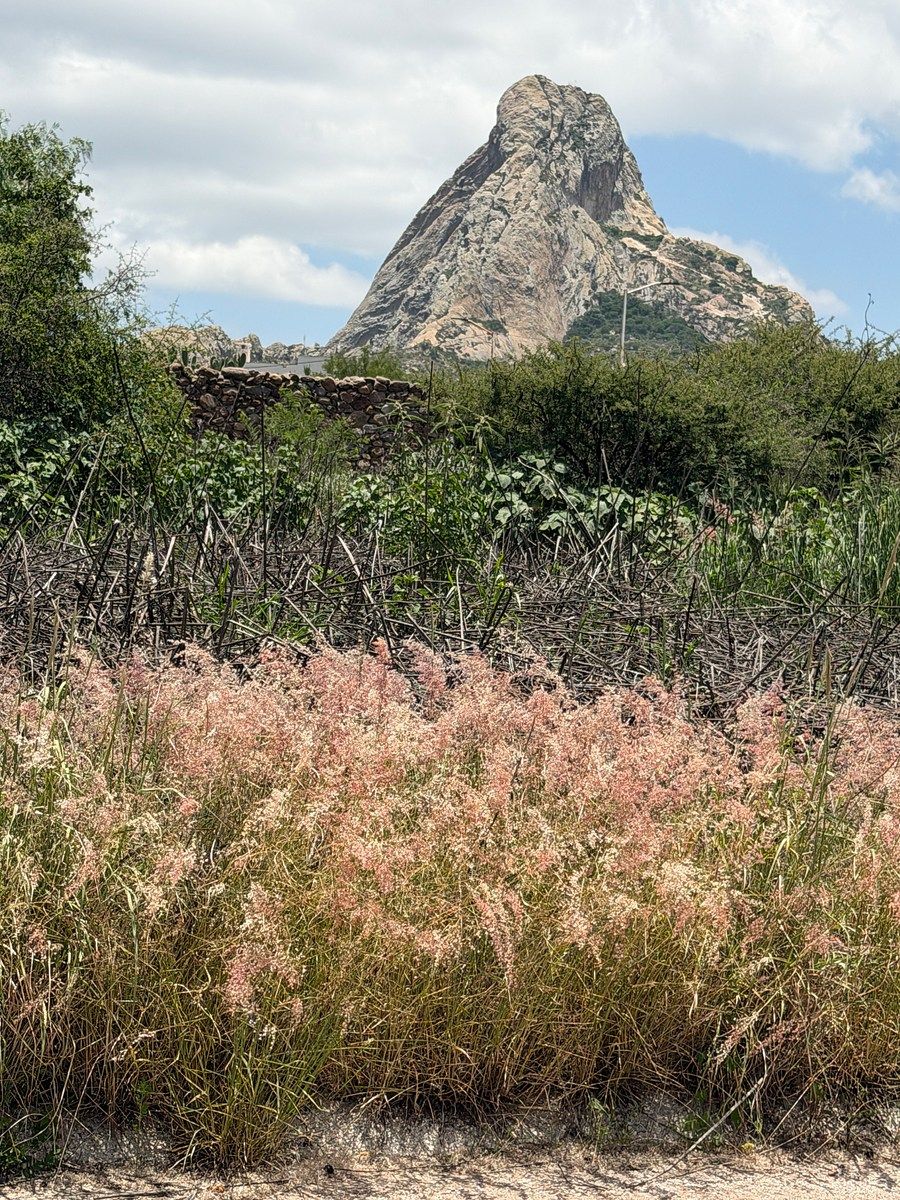 Lote em Bernal, Ezequiel Montes, foto 13 de 40