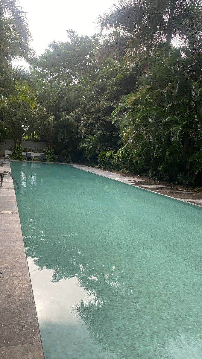 Departamento en Vía Montejo, Mérida, foto 13 de 18
