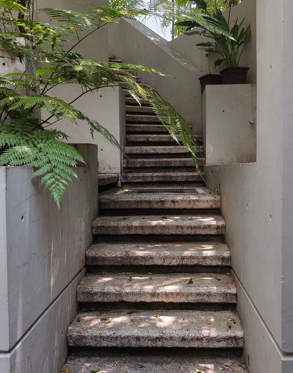 Casa en Bosque de las Lomas, Miguel Hidalgo, foto 31 de 32