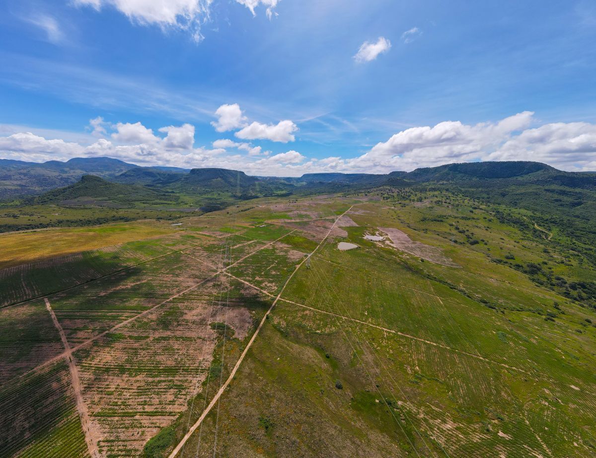 Terreno de 900 Hectáreas en Venta. - foto 5
