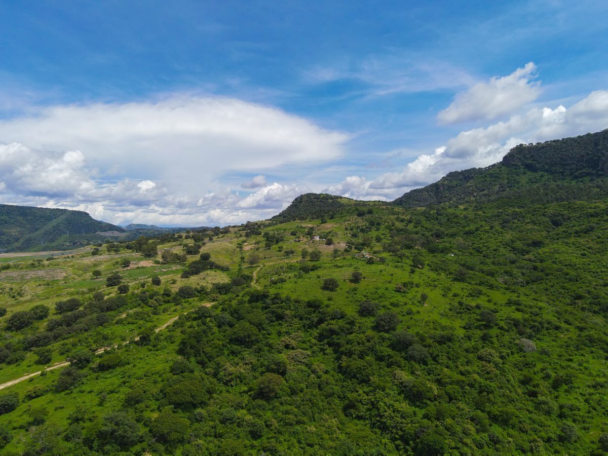 Lote em Santa Lucia, Zapopan, foto 7 de 14