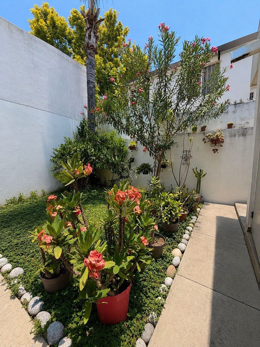 Casa en Cumbres San Agustín 1 Sector, Monterrey, foto 19 de 20