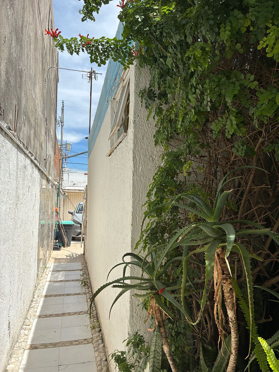 House in El Cerrito, Puebla, photo 15 of 38