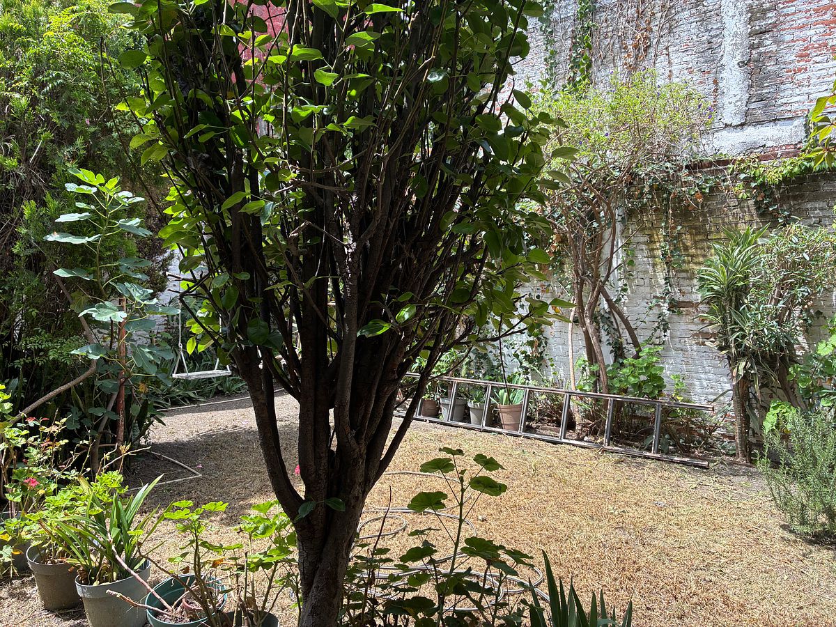 House in El Cerrito, Puebla, photo 22 of 38