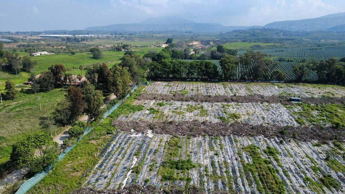 Rancho en San Isidro Mazatepec, Tala, foto 5 de 18