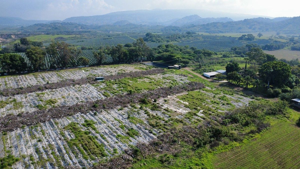 Rancho en San Isidro Mazatepec, Tala, foto 6 de 18