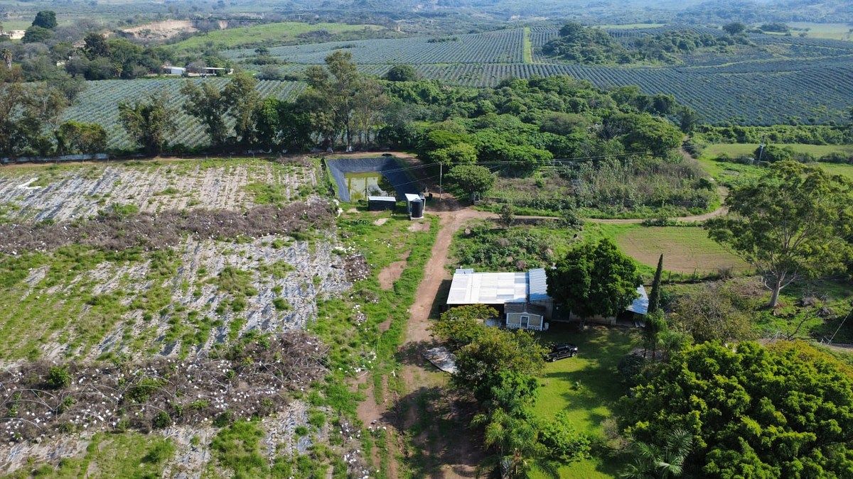 Rancho en San Isidro Mazatepec, Tala, foto 7 de 18