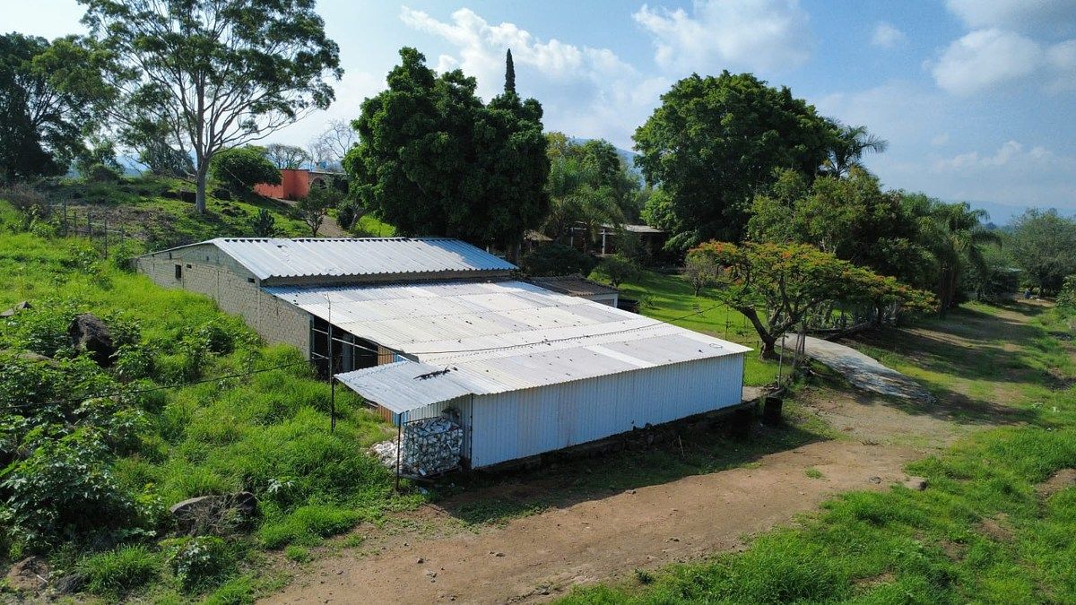 Rancho en San Isidro Mazatepec, Tala, foto 10 de 18