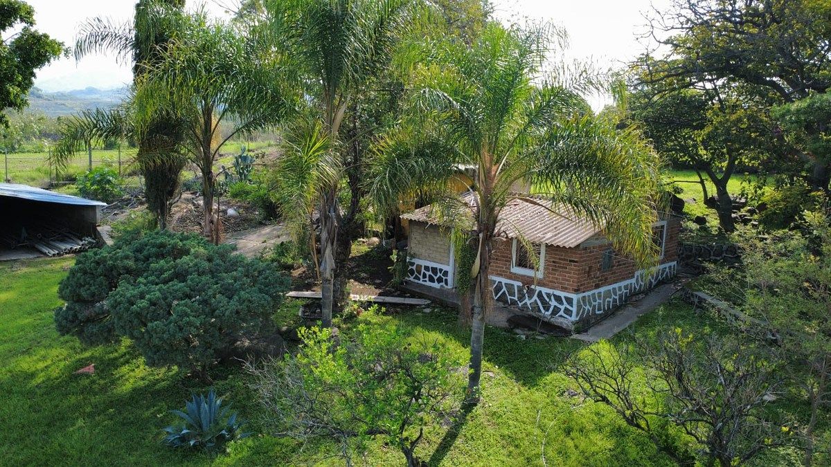 Rancho en San Isidro Mazatepec, Tala, foto 13 de 18