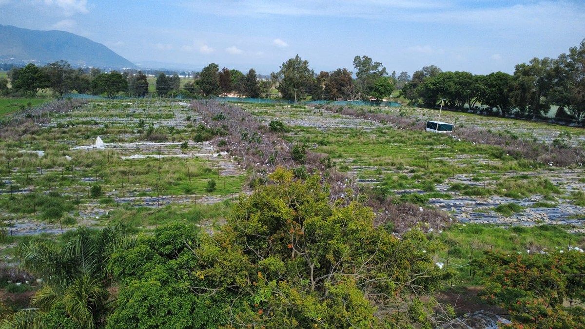 Rancho en San Isidro Mazatepec, Tala, foto 16 de 18