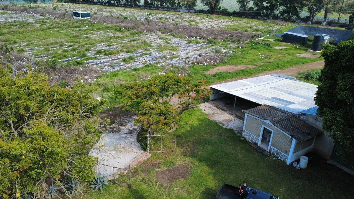 Rancho en San Isidro Mazatepec, Tala, foto 17 de 18