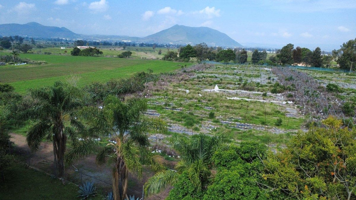 Rancho en San Isidro Mazatepec, Tala, foto 18 de 18