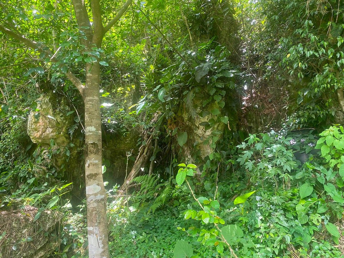 Lote em Armando Zebadua, Ocozocoautla de Espinosa, foto 2 de 9