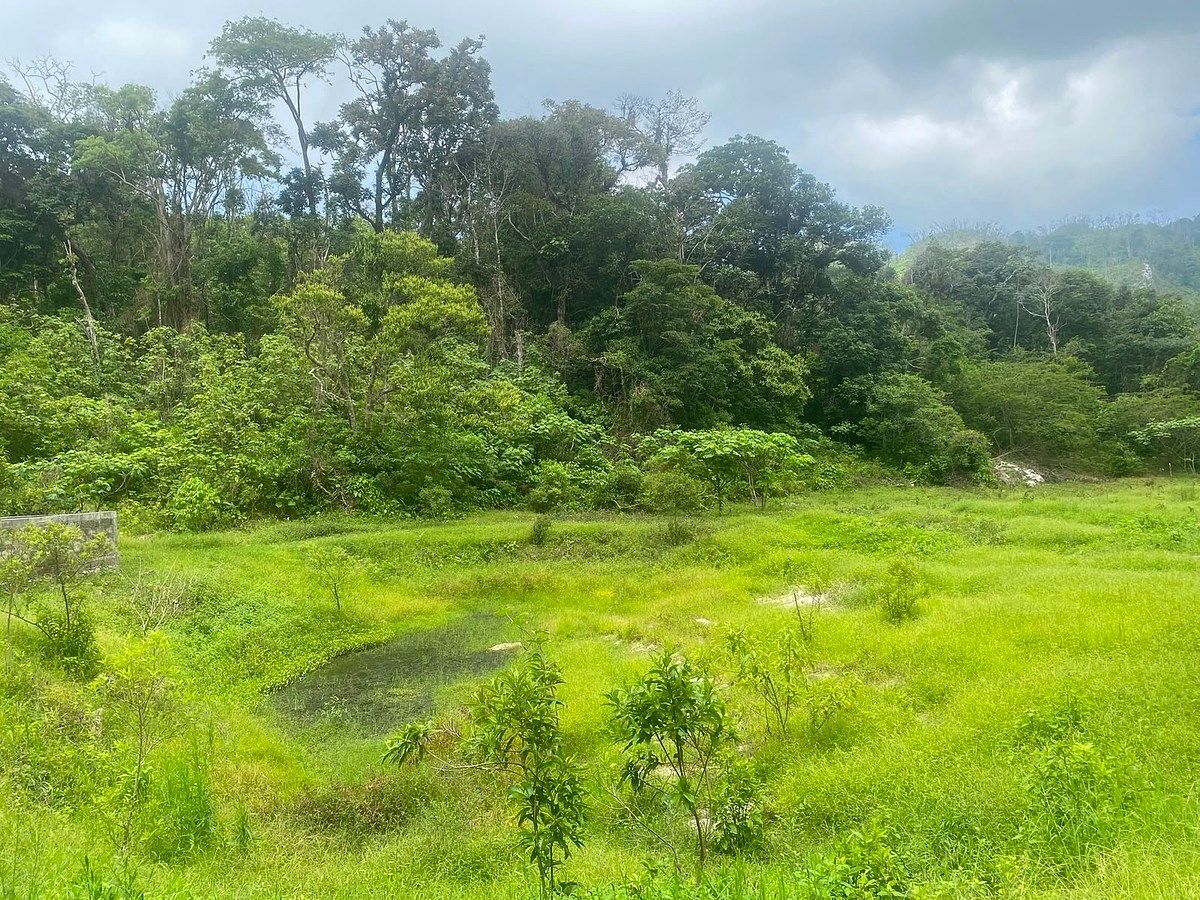 Lote em Armando Zebadua, Ocozocoautla de Espinosa, foto 4 de 9