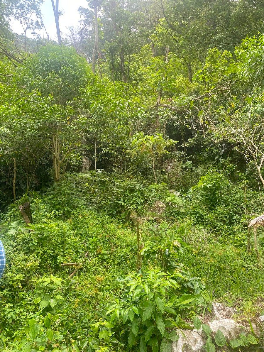 Lote em Armando Zebadua, Ocozocoautla de Espinosa, foto 6 de 9
