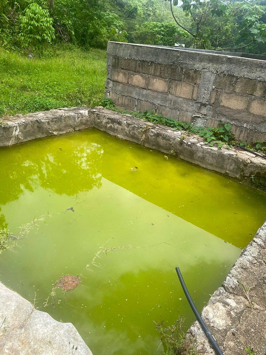 Lote em Armando Zebadua, Ocozocoautla de Espinosa, foto 8 de 9