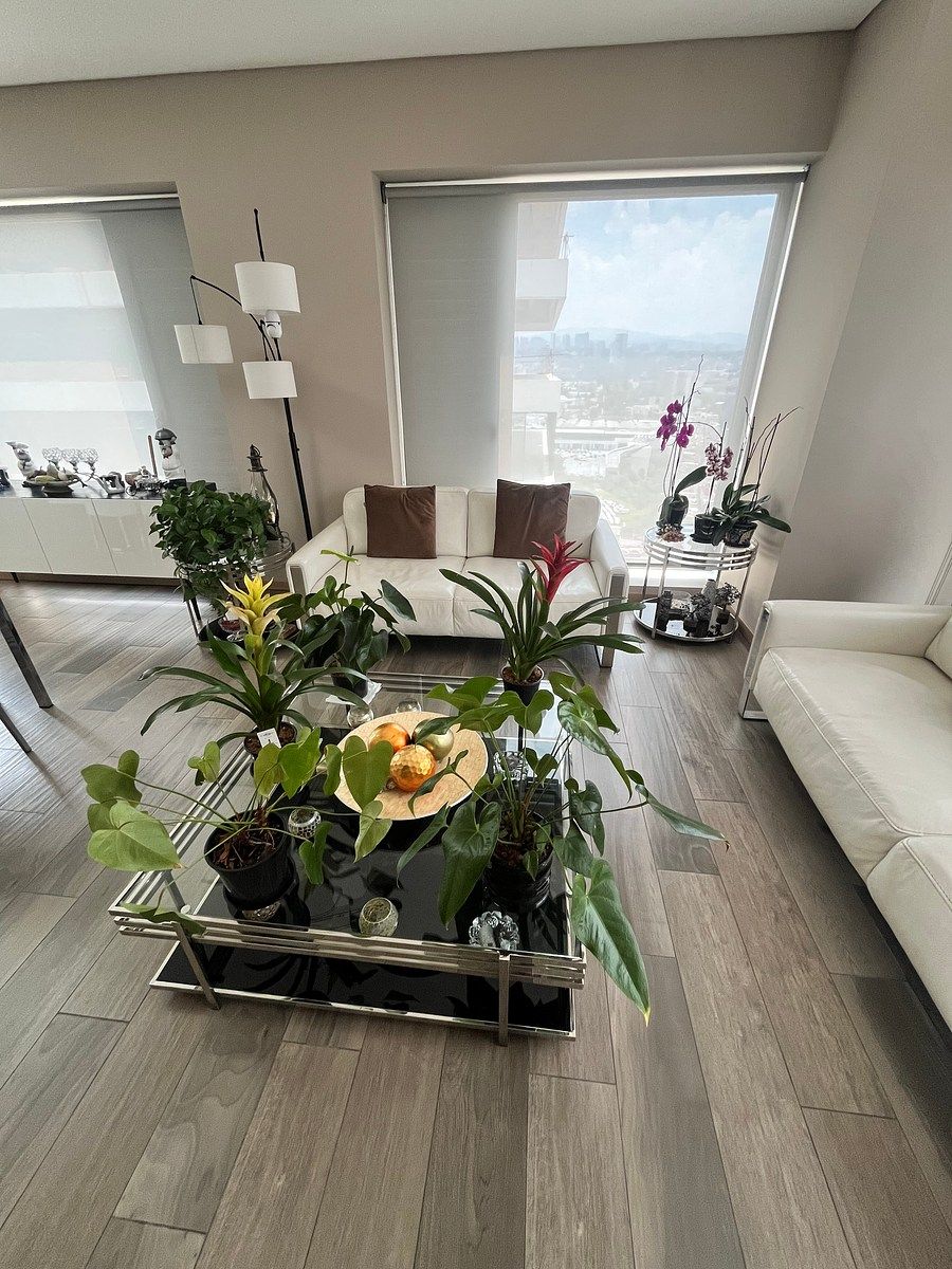 Precioso Departamento en Renta Agwa Bosques, foto 1 de 26