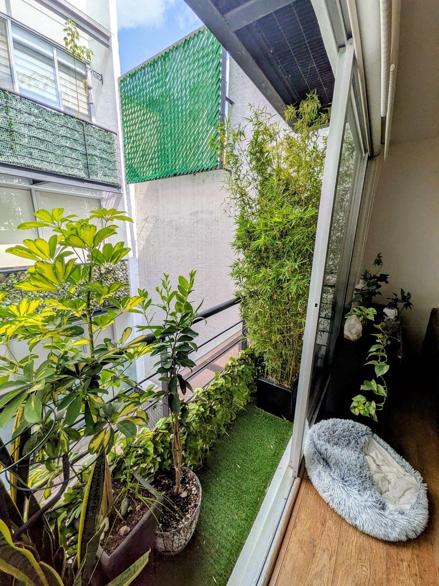 Departamento en Narvarte Oriente, Benito Juárez, foto 15 de 24