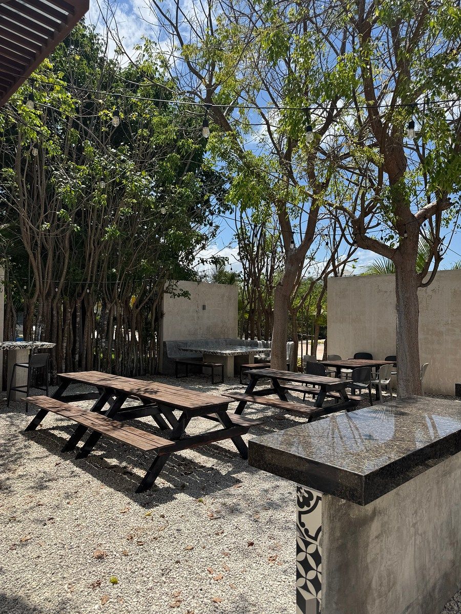 Area de asadores, photo 25 of 50