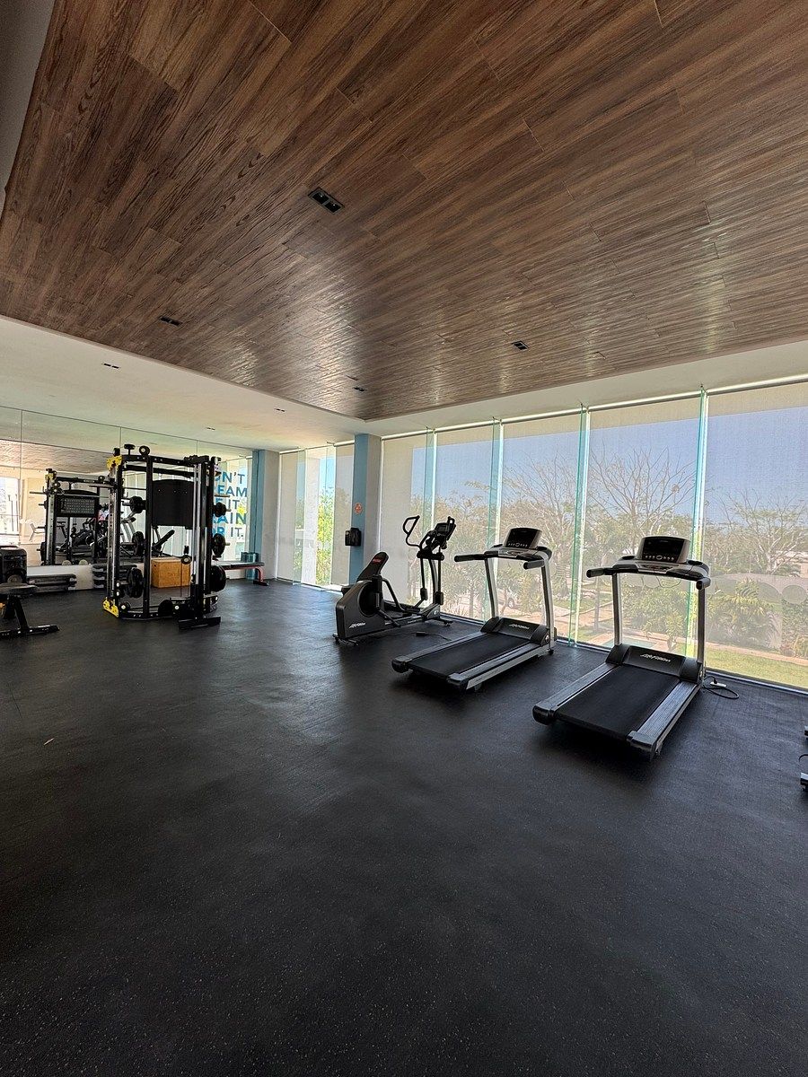 Gimnasio, photo 29 of 50