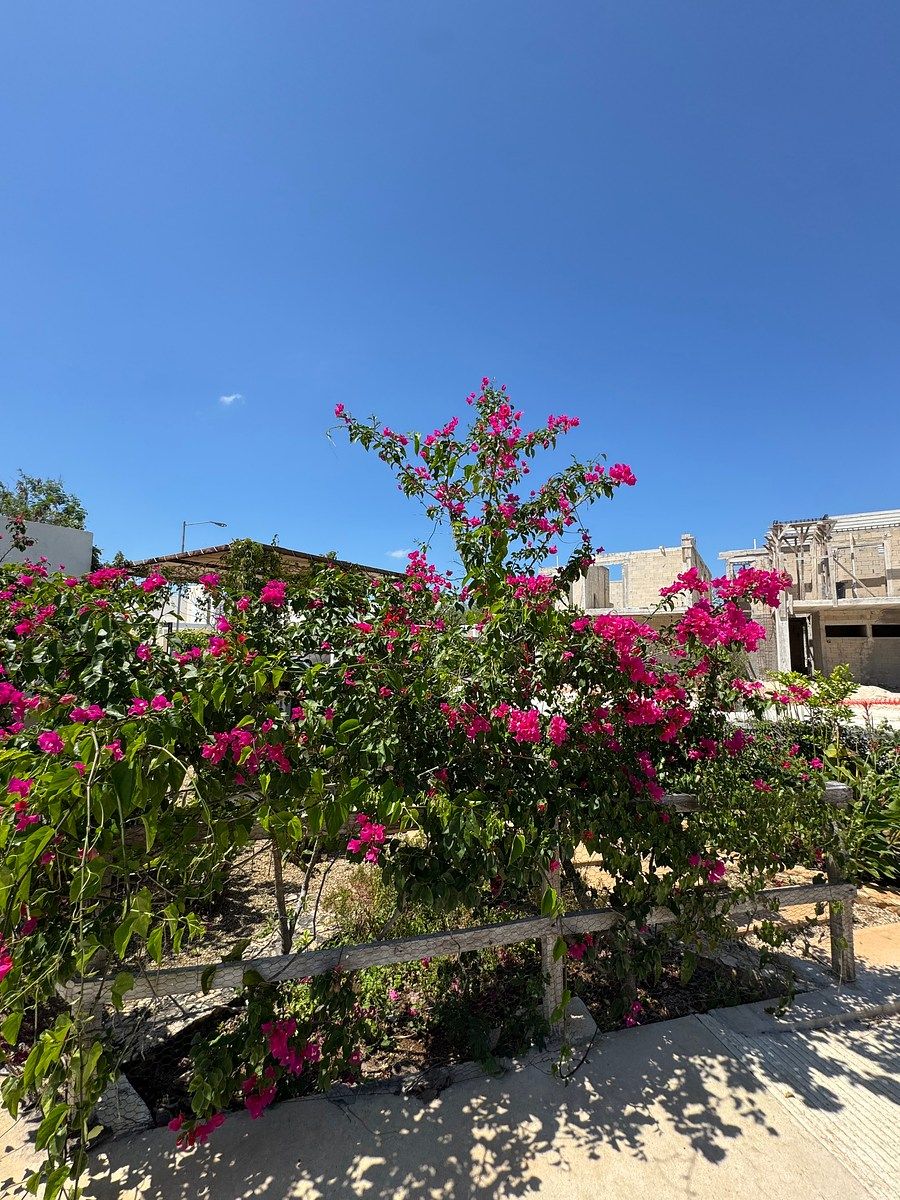 House in Gated Community in San Ignacio, Progreso, photo 47 of 50