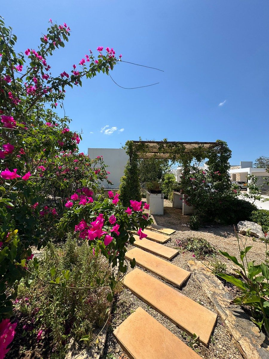 House in Gated Community in San Ignacio, Progreso, photo 48 of 50