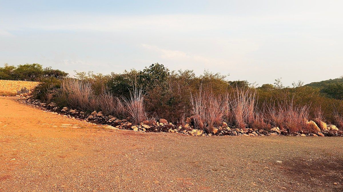 Lote em Lindos Aires, Berriozábal, foto 15 de 15