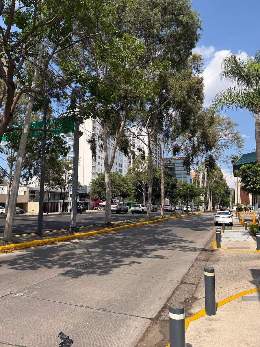 Shopping Mall Space in Vallarta Poniente, Guadalajara, photo 33 of 35