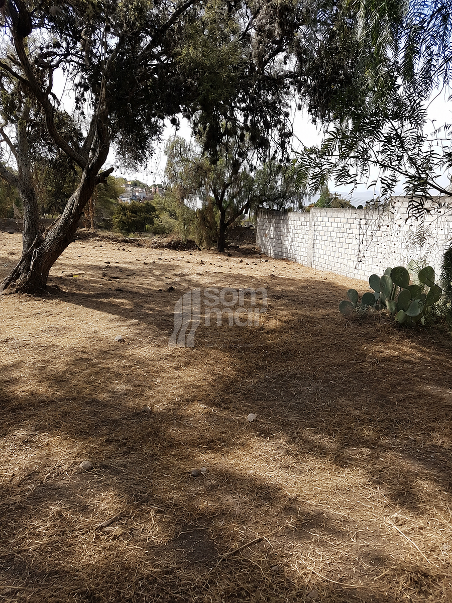 Lote em La Lejona, San Miguel de Allende, foto 8 de 14