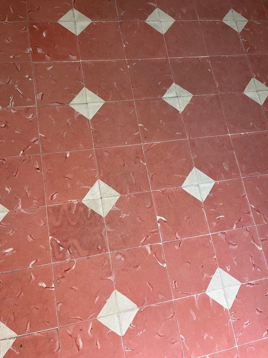 Casa em Barrio de Santa Ana, Mérida, foto 8 de 30