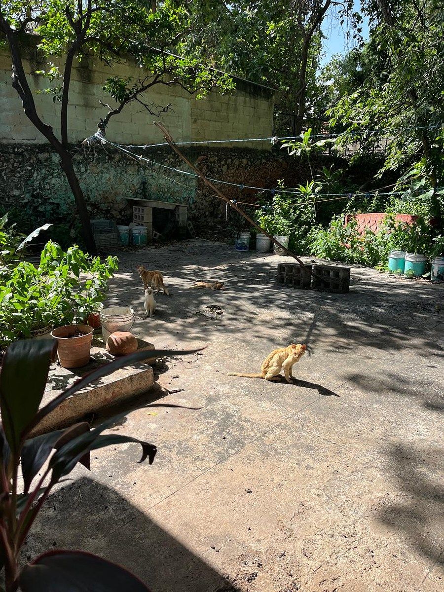 Casa em Barrio de Santa Ana, Mérida, foto 27 de 30