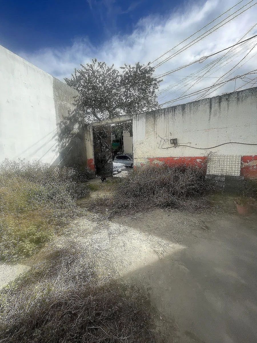 Commercial Storage Unit in Parques de Tesistán, Zapopan, photo 23 of 23