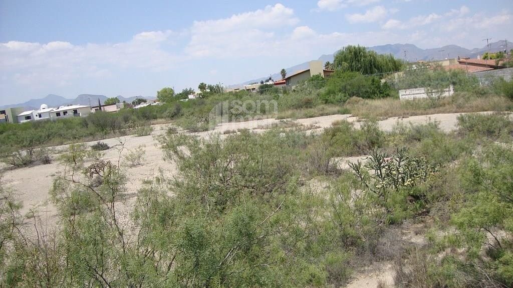 Terreno en Ing. Eulalio Gutiérrez Treviño, Saltillo, foto 4 de 7
