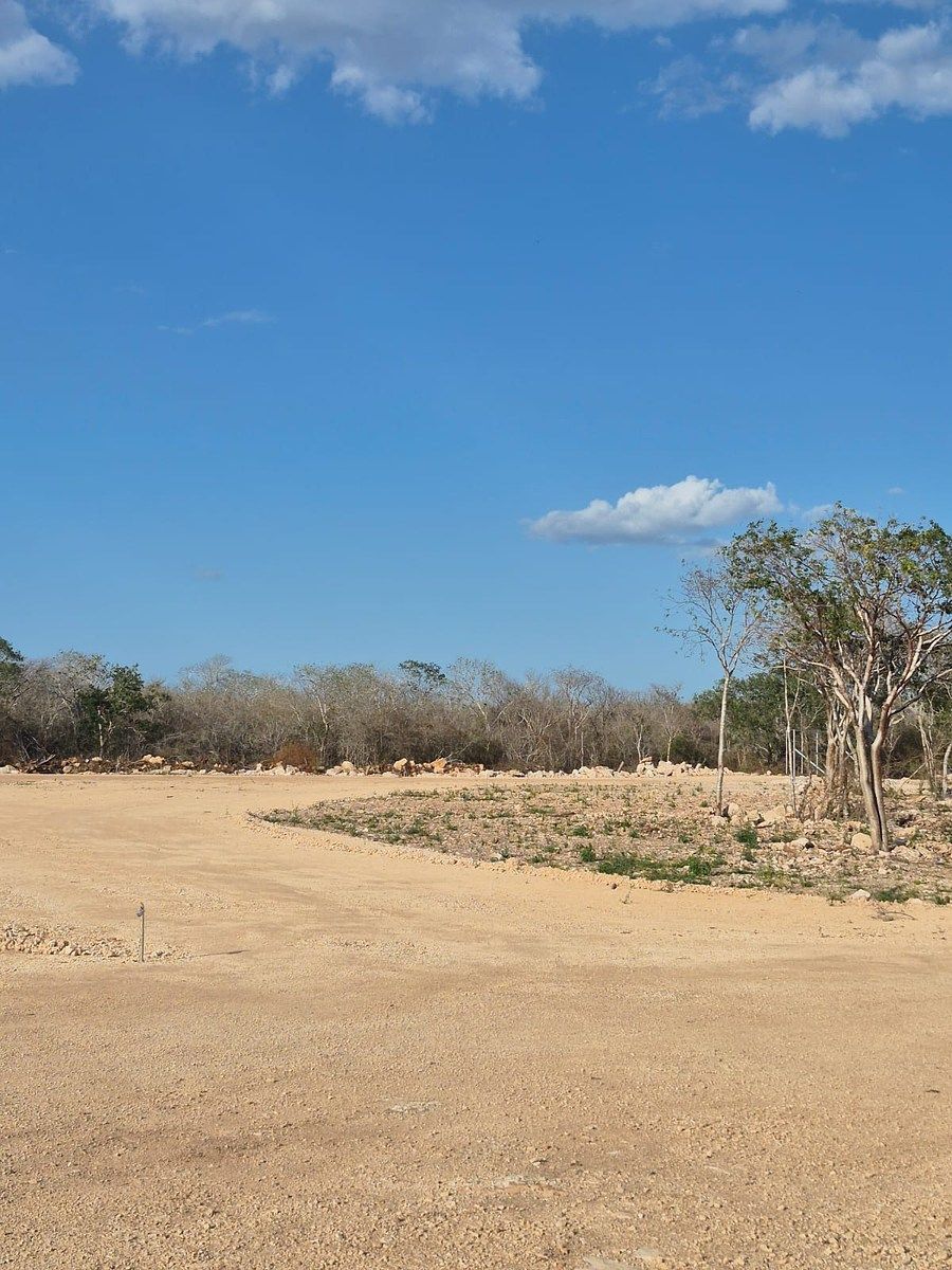 Lote em Cholul, Mérida, foto 4 de 29