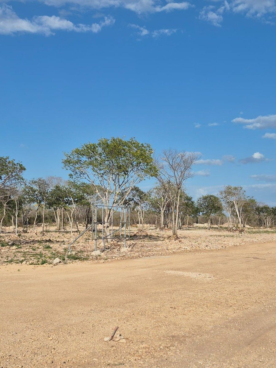 Lote em Cholul, Mérida, foto 5 de 29