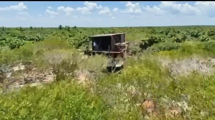 Lote em Isla de Holbox, Lázaro Cárdenas, foto 4 de 6