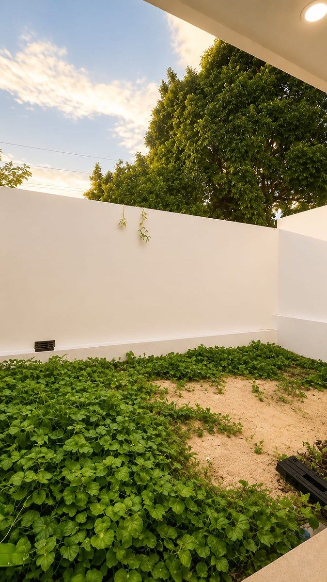 Casa em Juan Pablo II, Mérida, foto 12 de 13